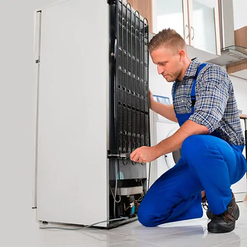 Cual es el servicio de reparacion de neveras mas eficiente Valencia - &iquest;Cu&aacute;l es el servicio de reparaci&oacute;n de neveras m&aacute;s eficiente en Valencia?