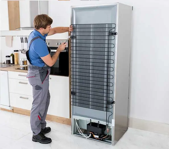 Cual es el servicio de reparacion de neveras mas eficiente en Valencia - &iquest;Cu&aacute;l es el servicio de reparaci&oacute;n de neveras m&aacute;s eficiente en Valencia?