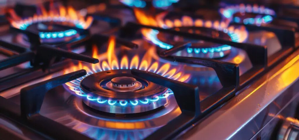 Que companias ofrecen el mejor servicio tecnico para vitroceramicas en Valencia 1024x480 - ¿Qué compañías ofrecen el mejor servicio técnico para vitrocerámicas en Valencia?